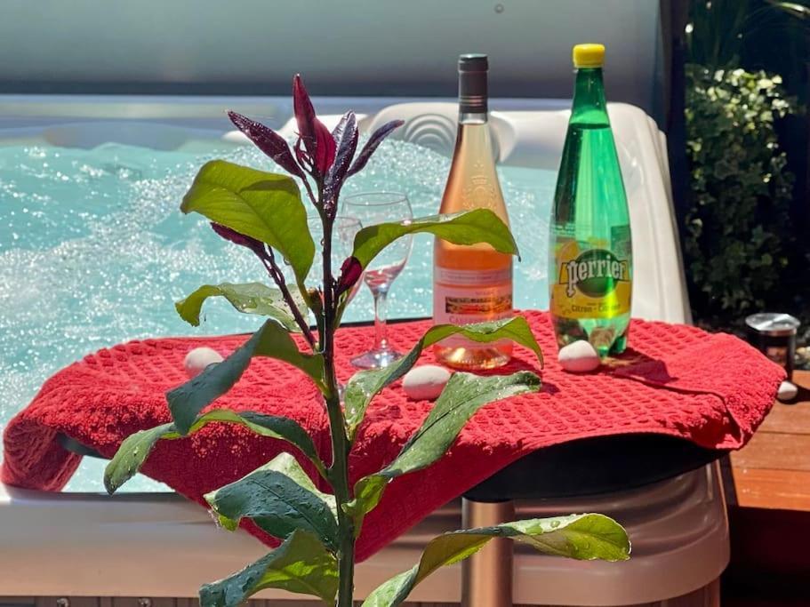 Un Petit Coin De Paradis Toulouse Bagian luar foto